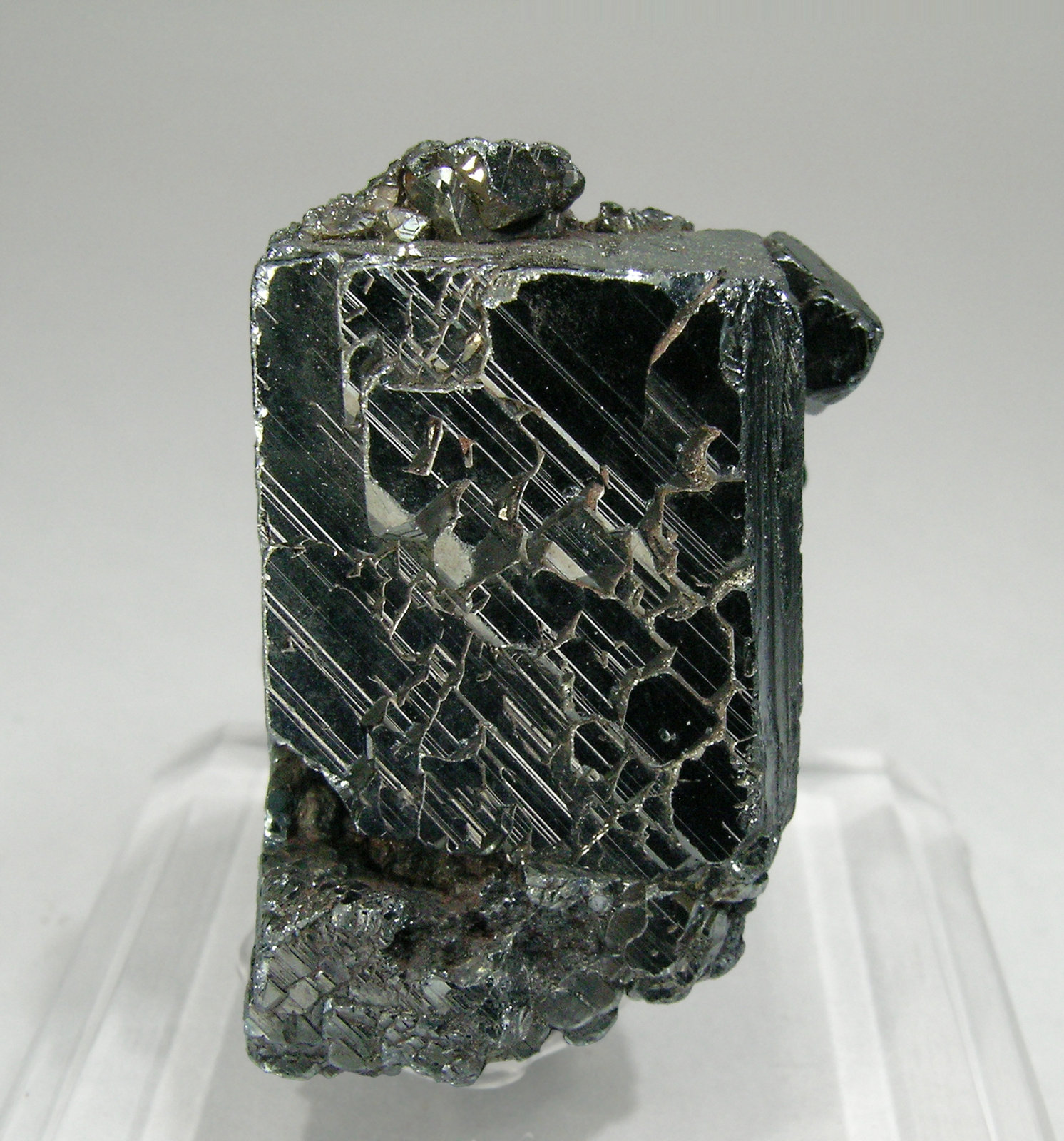 specimens/s_imagesP9/Hematite-TD16P9.jpg