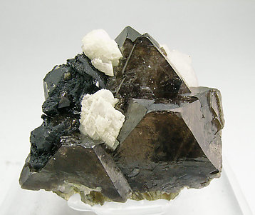 Scheelite with Calcite.