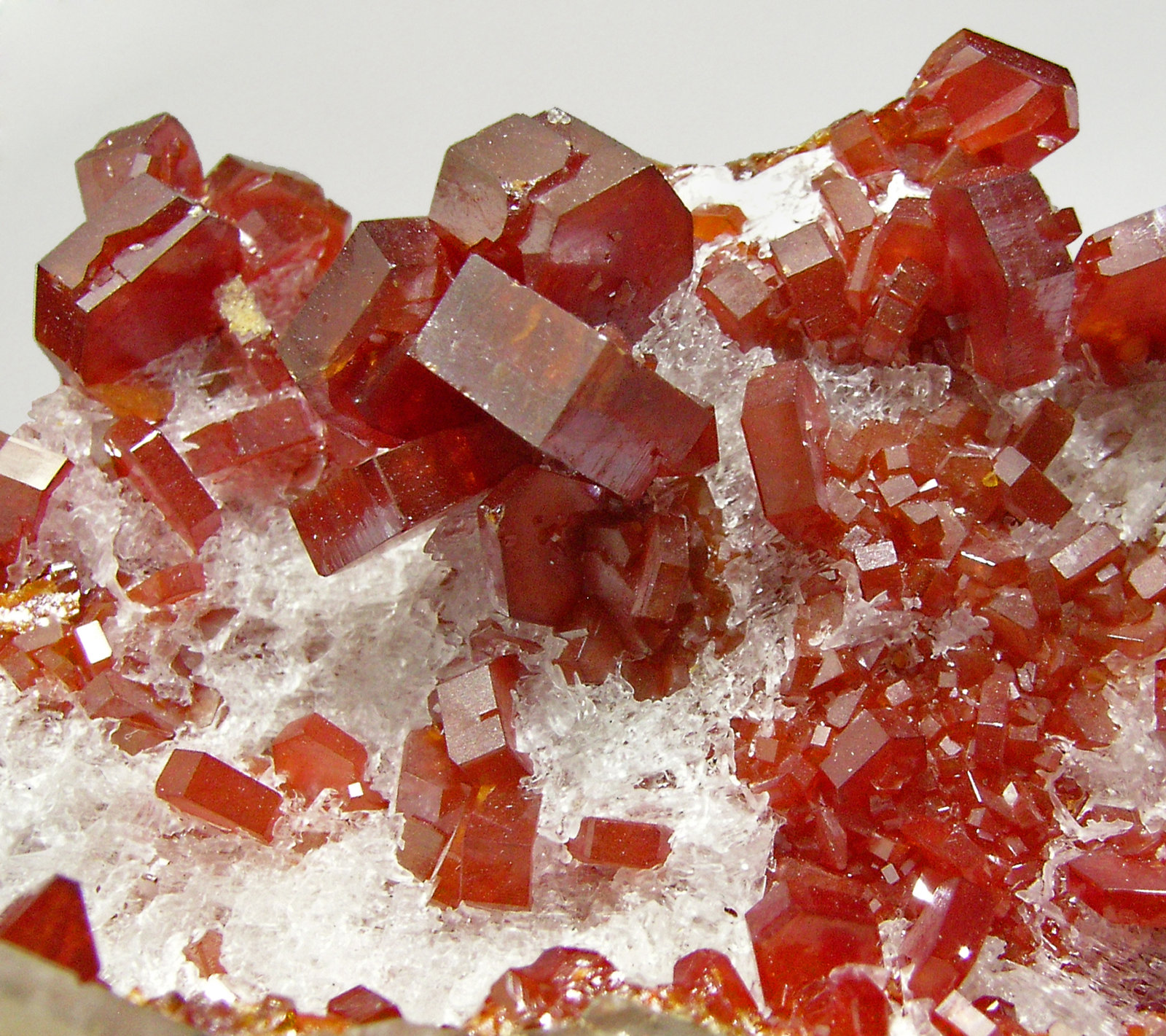 specimens/s_imagesP9/Vanadinite-ED76P9d.jpg