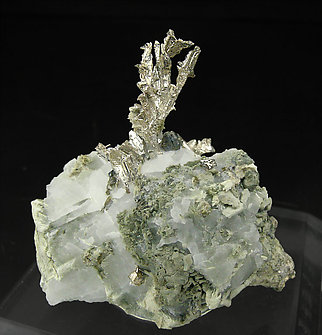 Allargentum with Dyscrasite, Silver, Calcite and Actinolite.