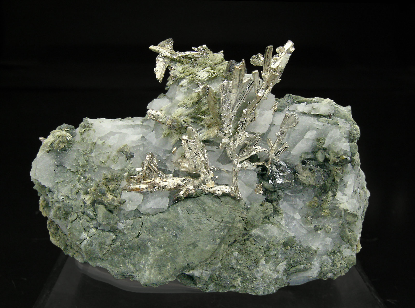specimens/s_imagesQ0/Allargentum-TV49Q0f.jpg