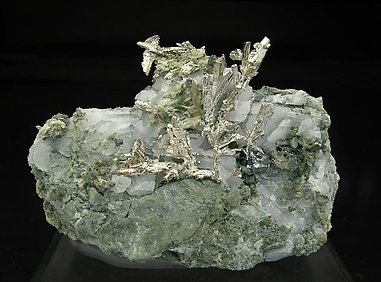 Allargentum with Dyscrasite, Silver, Calcite and Actinolite. 