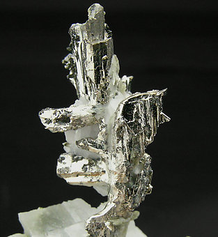 Allargentum with Dyscrasite, Silver, Calcite and Actinolite. 