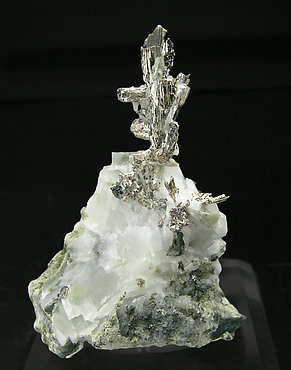 Allargentum with Dyscrasite, Silver, Calcite and Actinolite. 