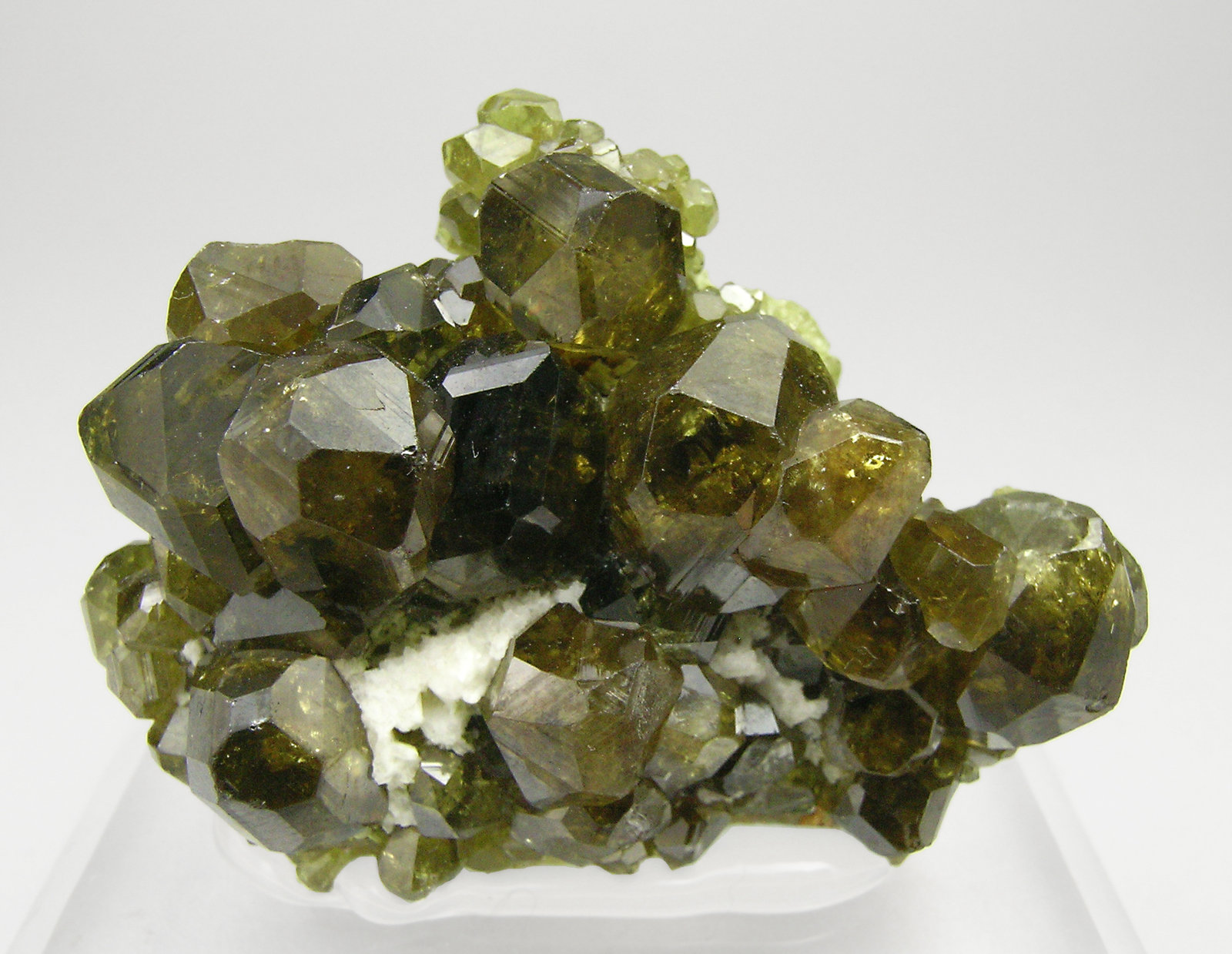 specimens/s_imagesQ0/Andradite_Topazolite-TP49Q0.jpg