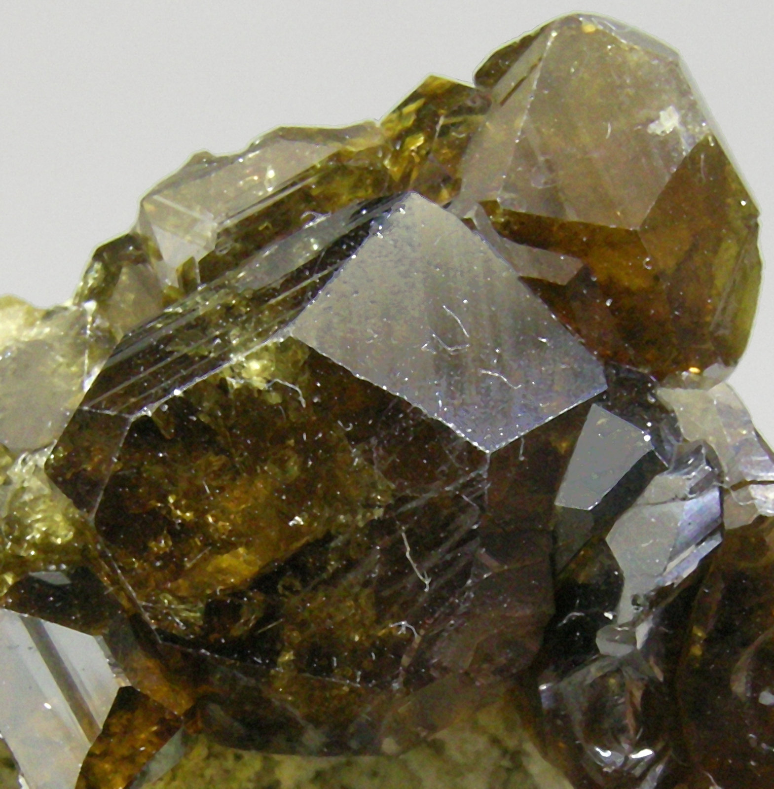 specimens/s_imagesQ0/Andradite_Topazolite-TQ94Q0d.jpg