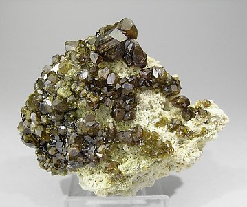 Andradite (variety topazolite) with Stilbite.