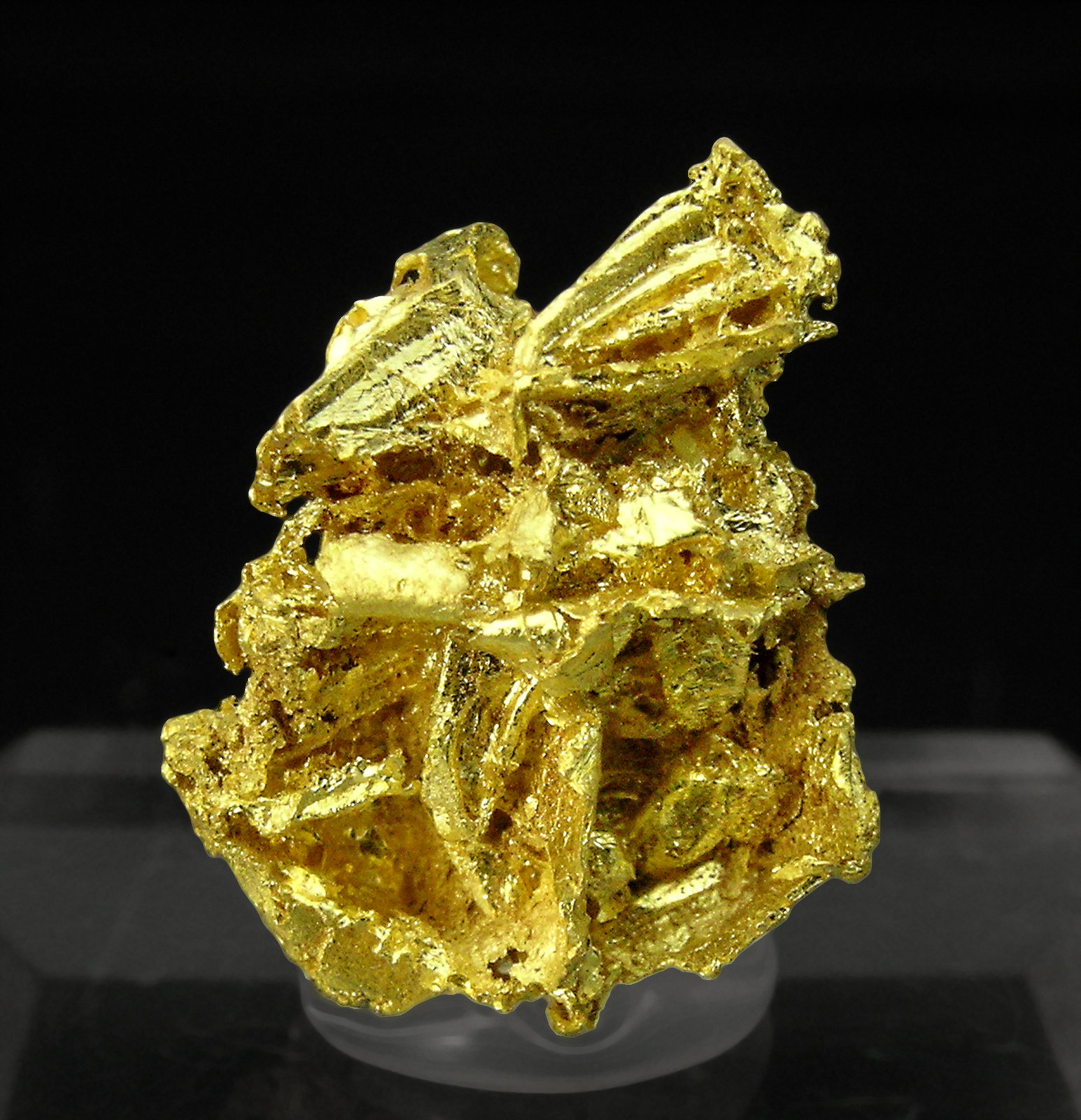 specimens/s_imagesQ0/Gold-MB71Q0f.jpg