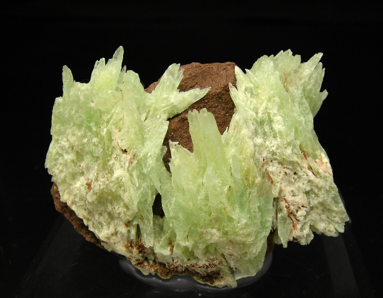 specimens/s_imagesQ0/Phosphophyllite-TH6Q0.jpg