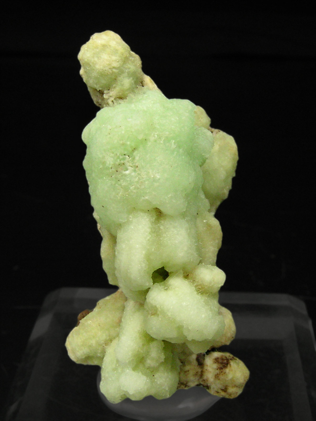 specimens/s_imagesQ0/Phosphophyllite-TJ6Q0.jpg