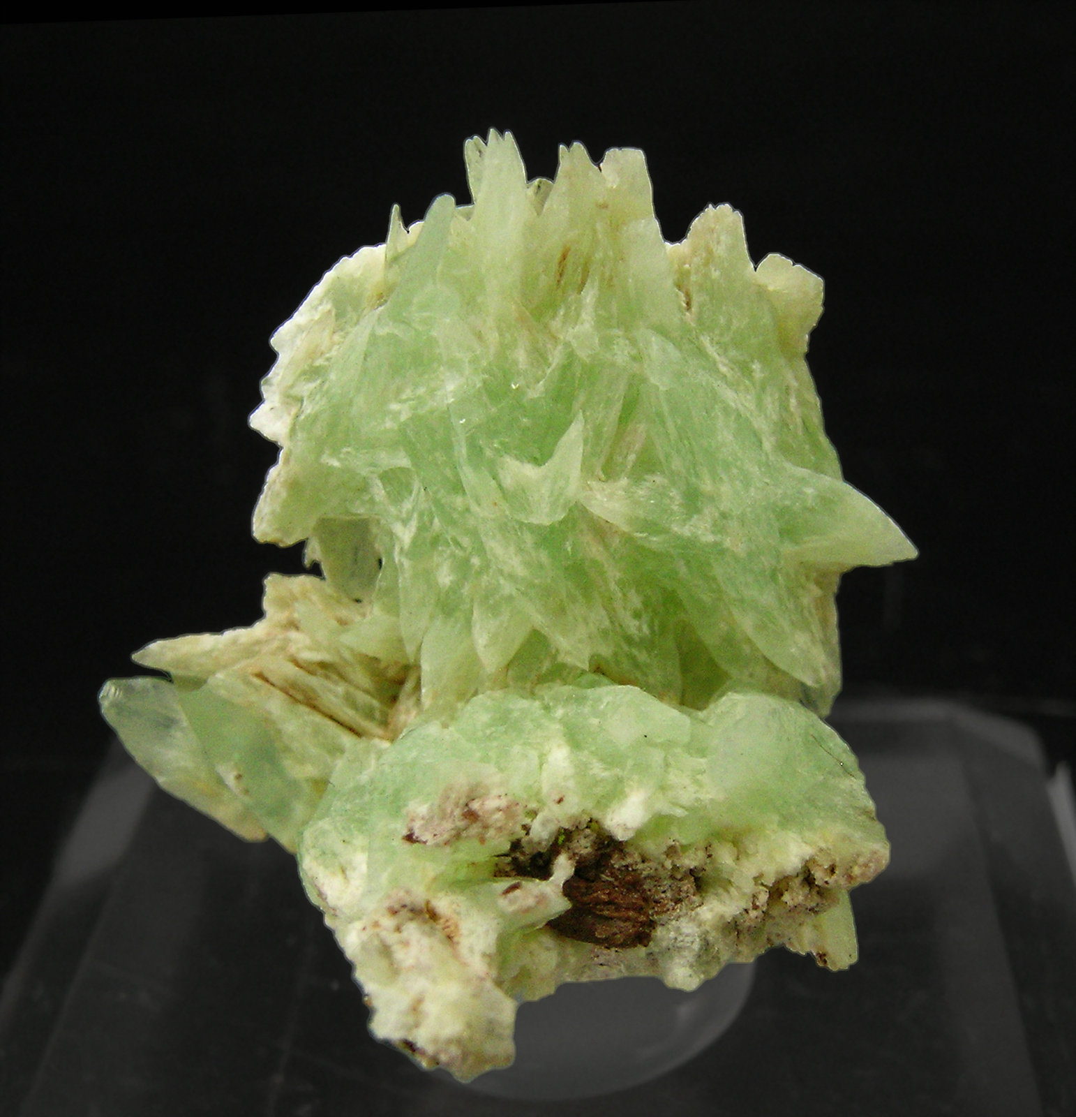 specimens/s_imagesQ0/Phosphophyllite-TK13Q0.jpg