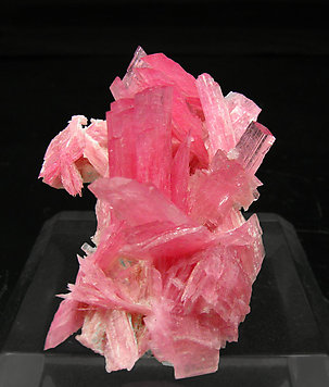 Rhodonite. Front