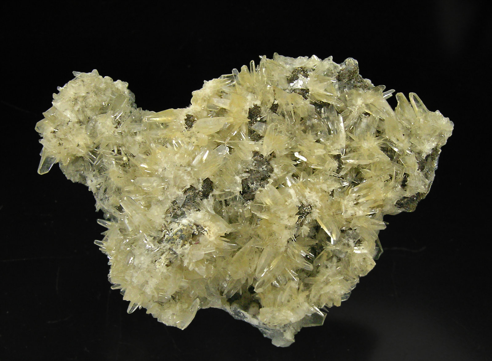 specimens/s_imagesQ1/Aragonite-NA59Q1.jpg