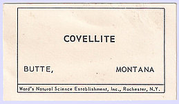 Covellite with Pyrite