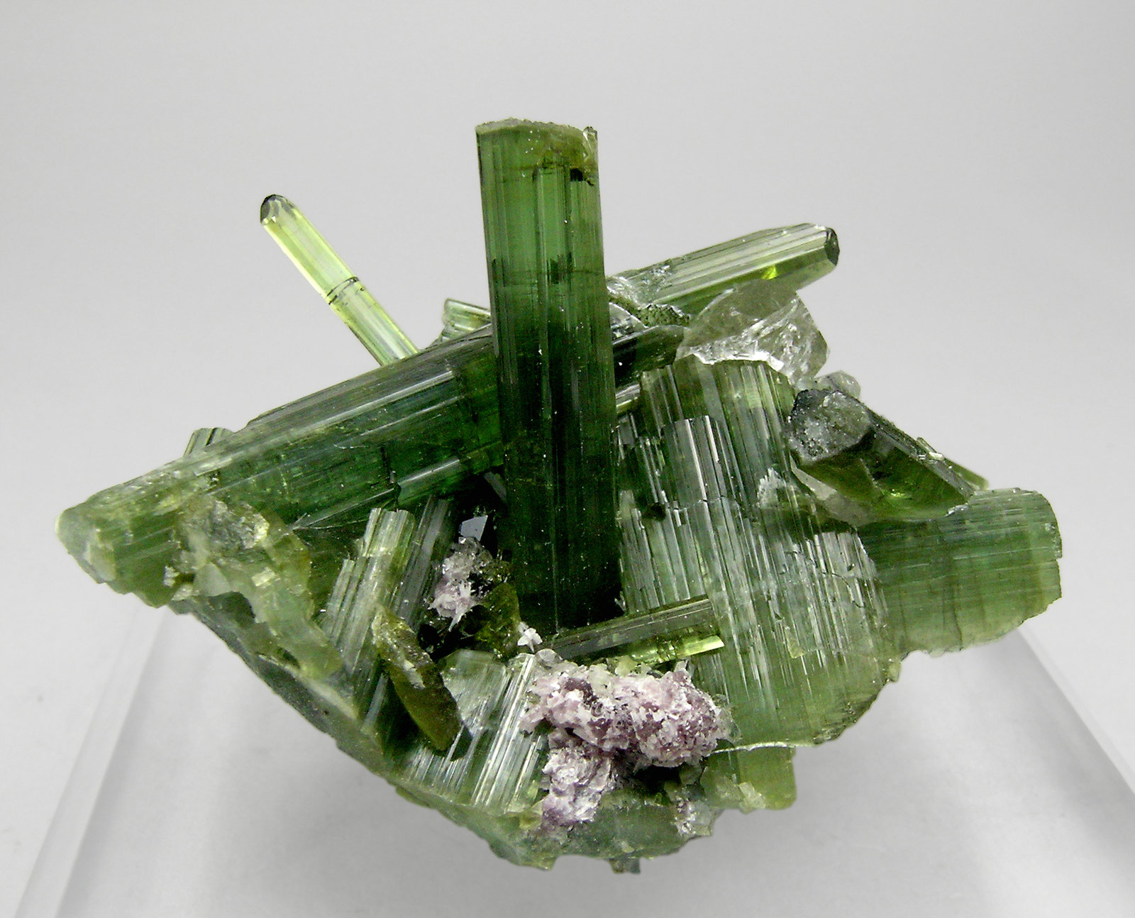 specimens/s_imagesQ1/Elbaite-TX87Q1f.jpg