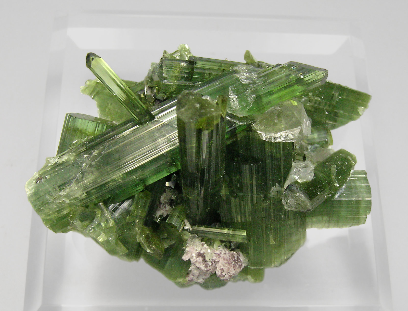 specimens/s_imagesQ1/Elbaite-TX87Q1t.jpg