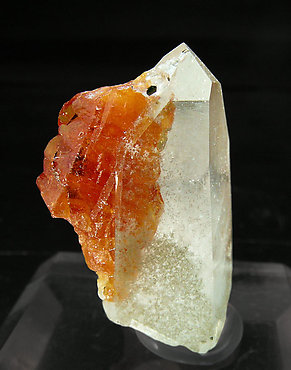 Scheelite on Quartz.