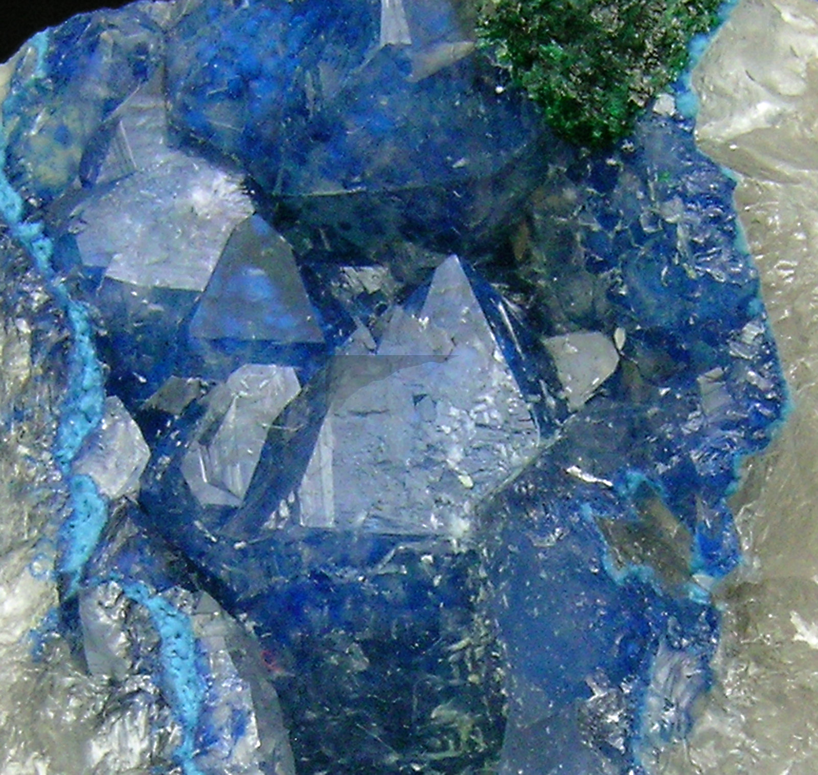 specimens/s_imagesQ2/Shattuckite-TT14Q2d.jpg