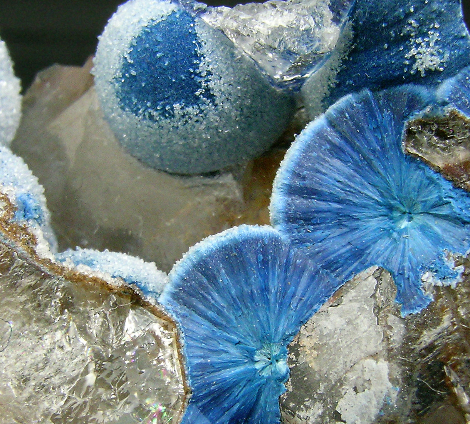 specimens/s_imagesQ2/Shattuckite-TV26Q2d.jpg