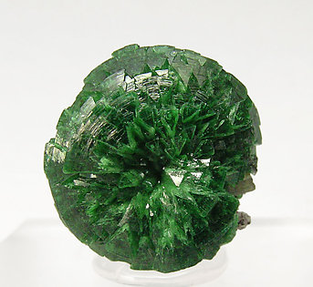 Adamite (variety cuprian) with Wulfenite.