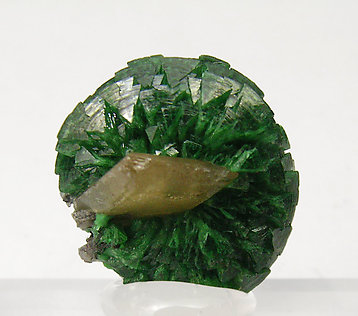 Adamite (variety cuprian) with Wulfenite. Rear