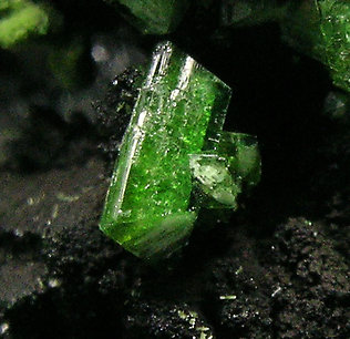 Adamite (variety cuprian). 