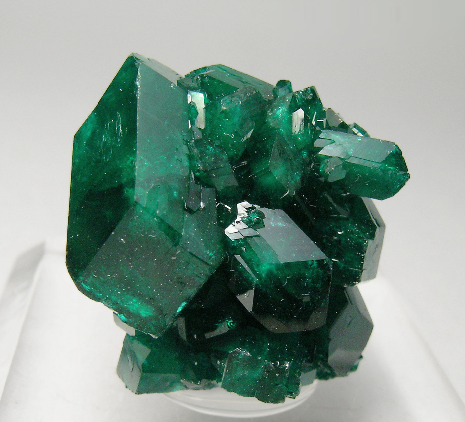 specimens/s_imagesQ3/Dioptase-TM97Q3f.jpg