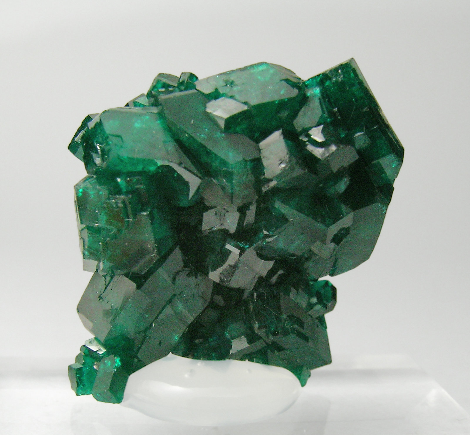 specimens/s_imagesQ3/Dioptase-TM97Q3r.jpg