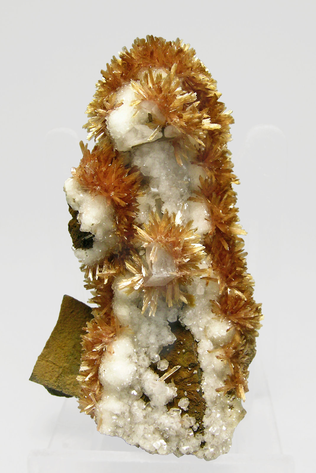 specimens/s_imagesQ3/Inesite-TF28Q3f.jpg