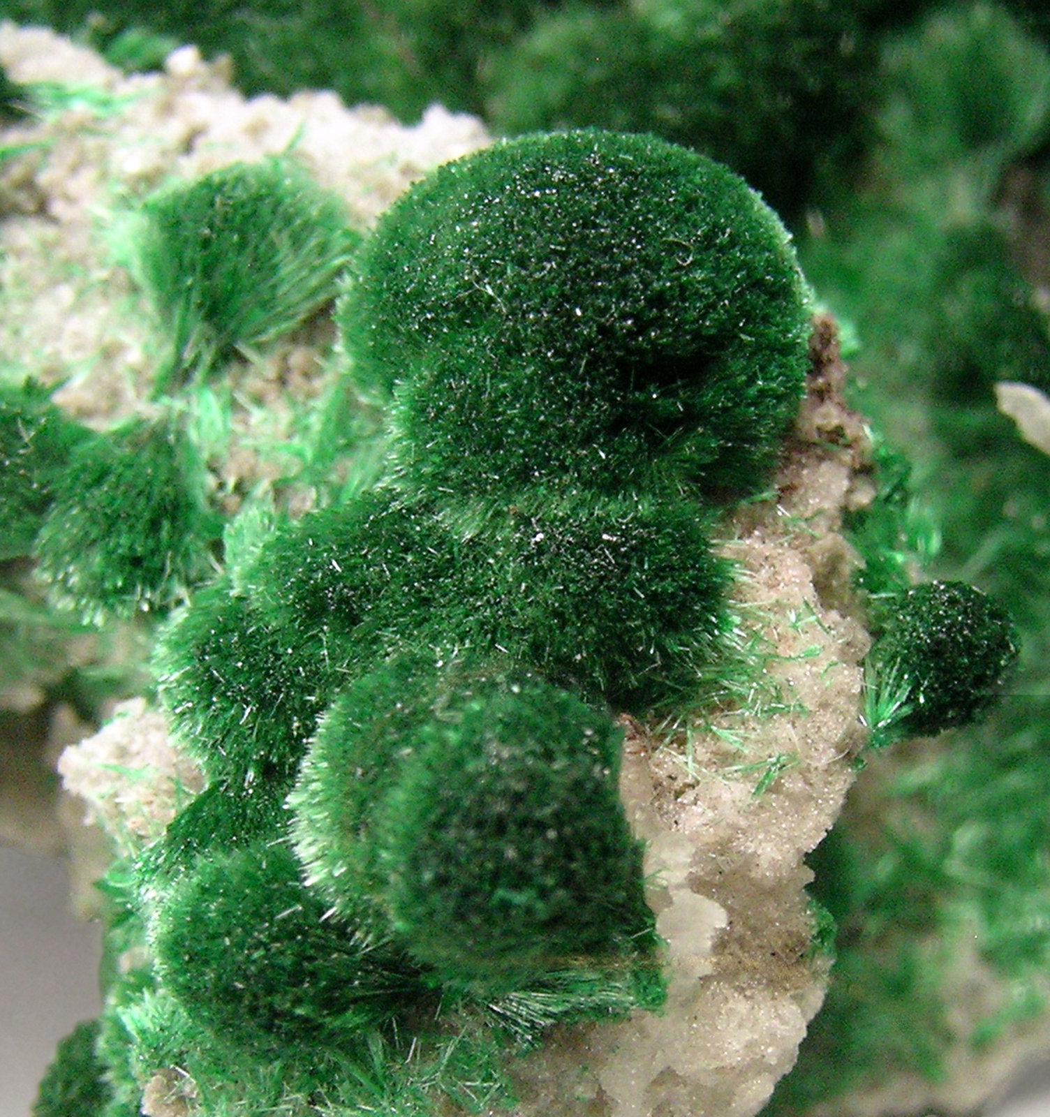 specimens/s_imagesQ3/Malachite-TZ27Q3d.jpg