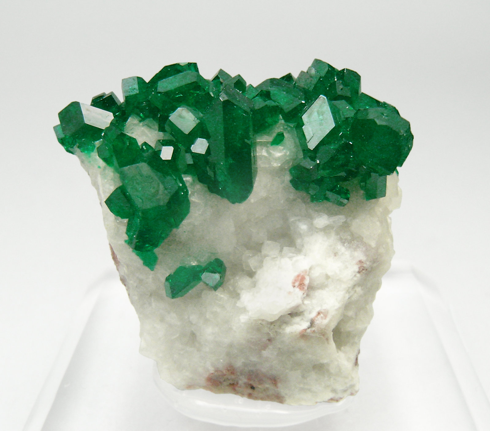 specimens/s_imagesQ5/Dioptase-TF47Q5f.jpg