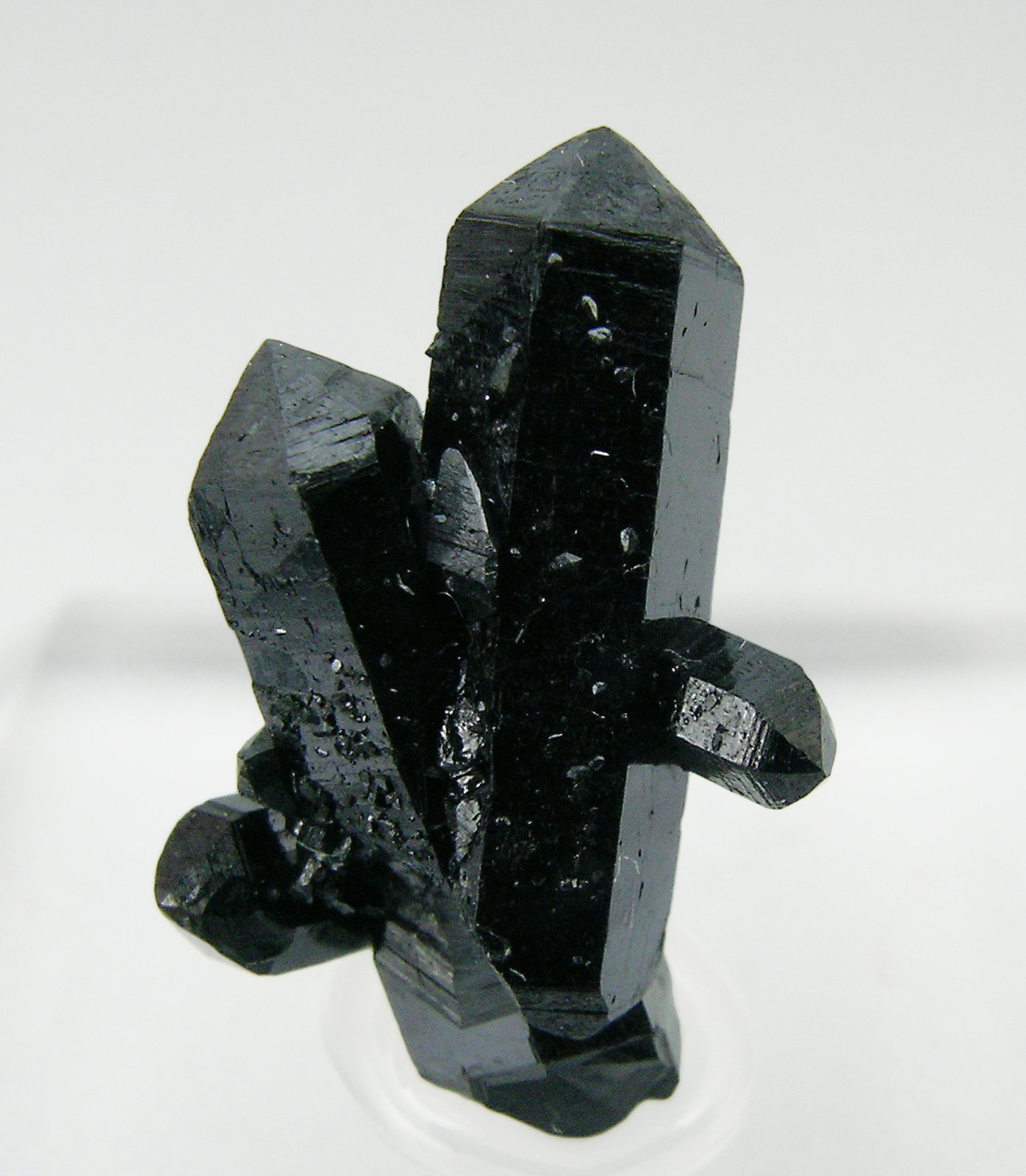 specimens/s_imagesQ5/Gaudefroyite-TG36Q5.jpg