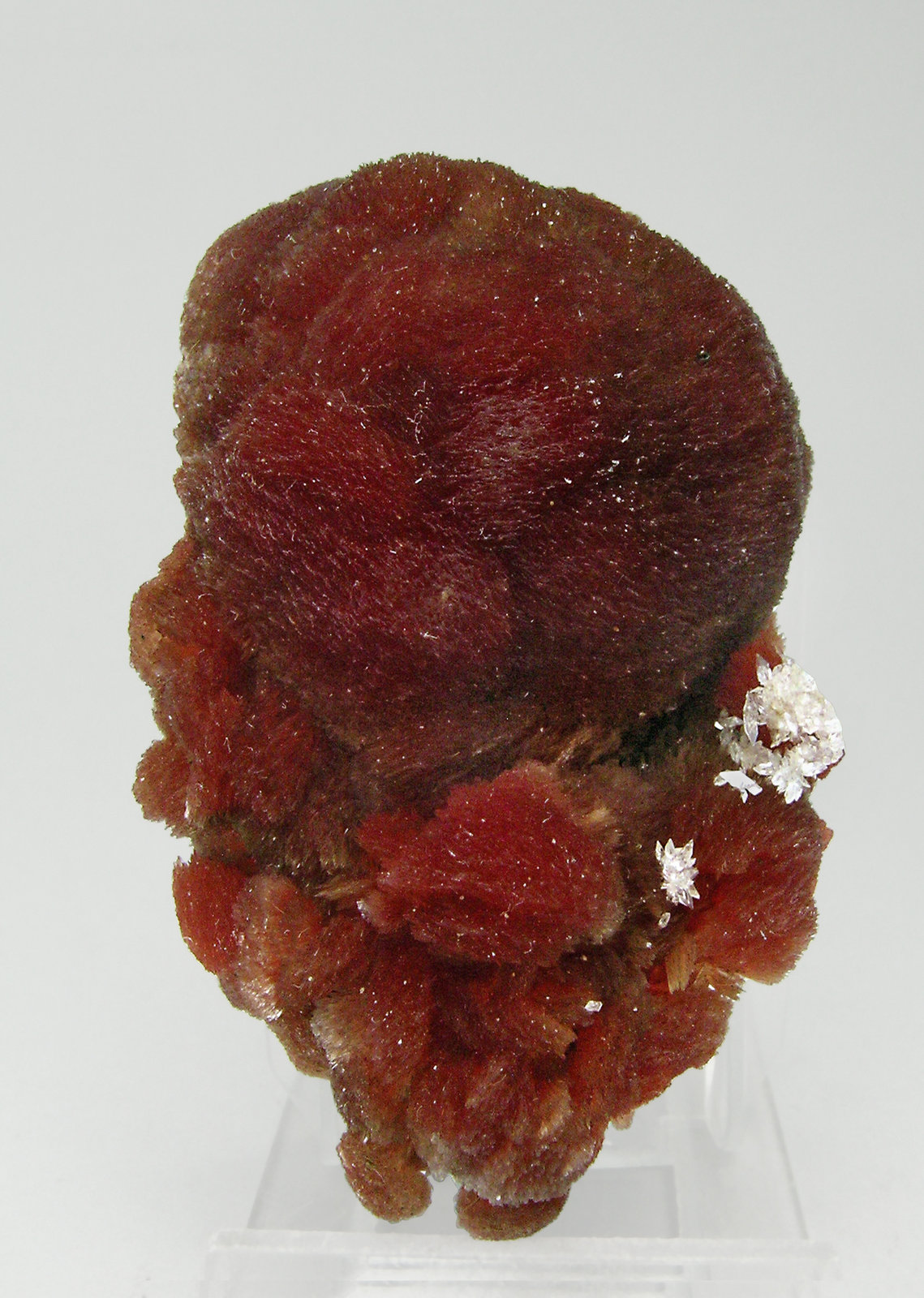 specimens/s_imagesQ5/Inesite-TR50Q5f.jpg