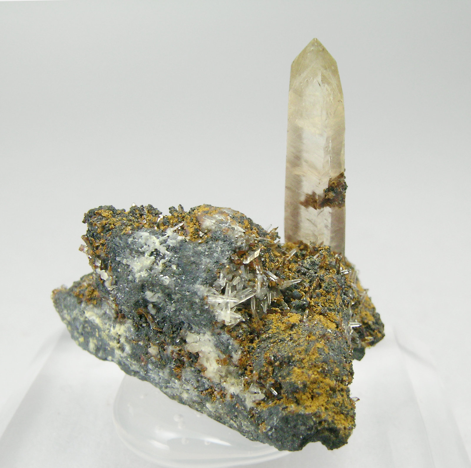 specimens/s_imagesQ5/Smithsonite-TD47Q5r.jpg