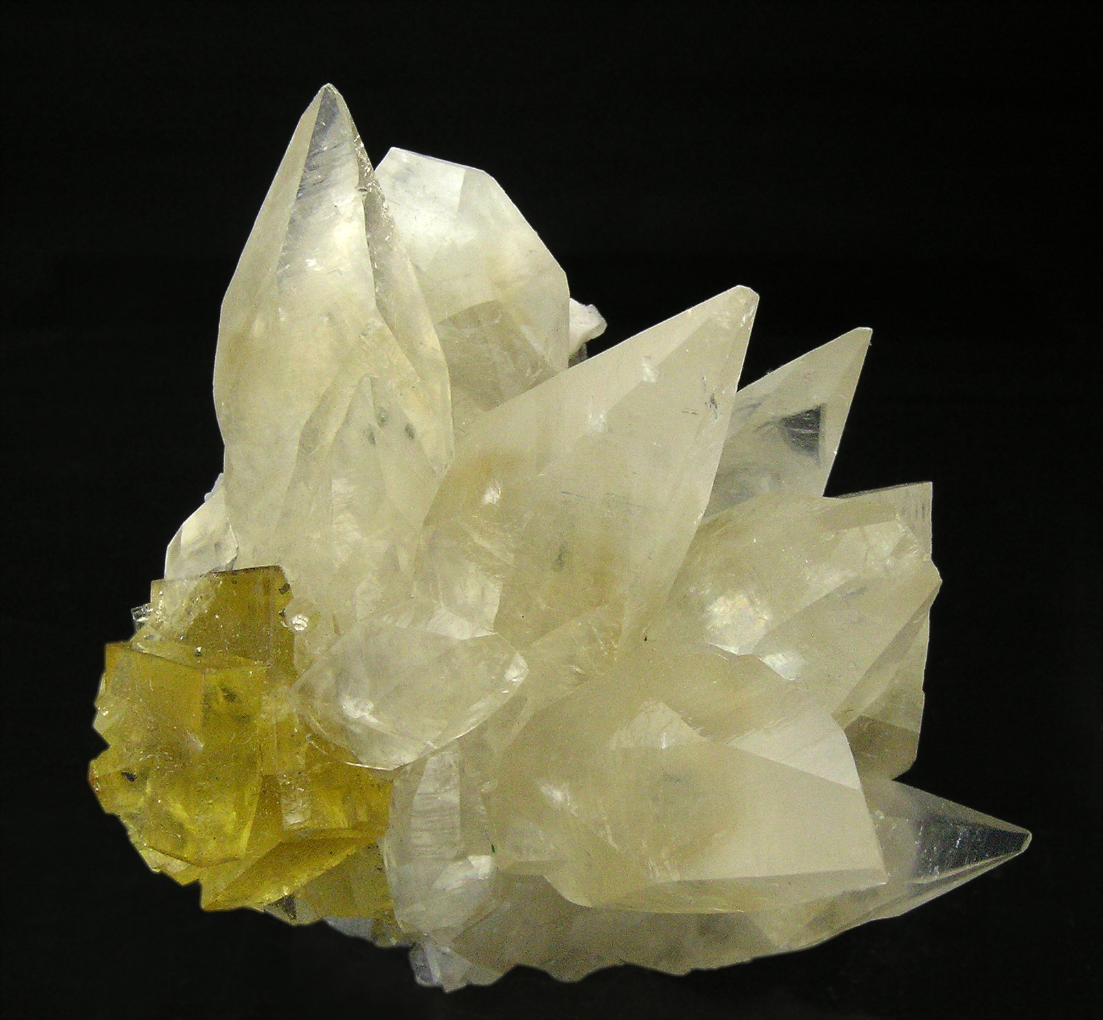 specimens/s_imagesQ6/Calcite-AJ64Q6.jpg