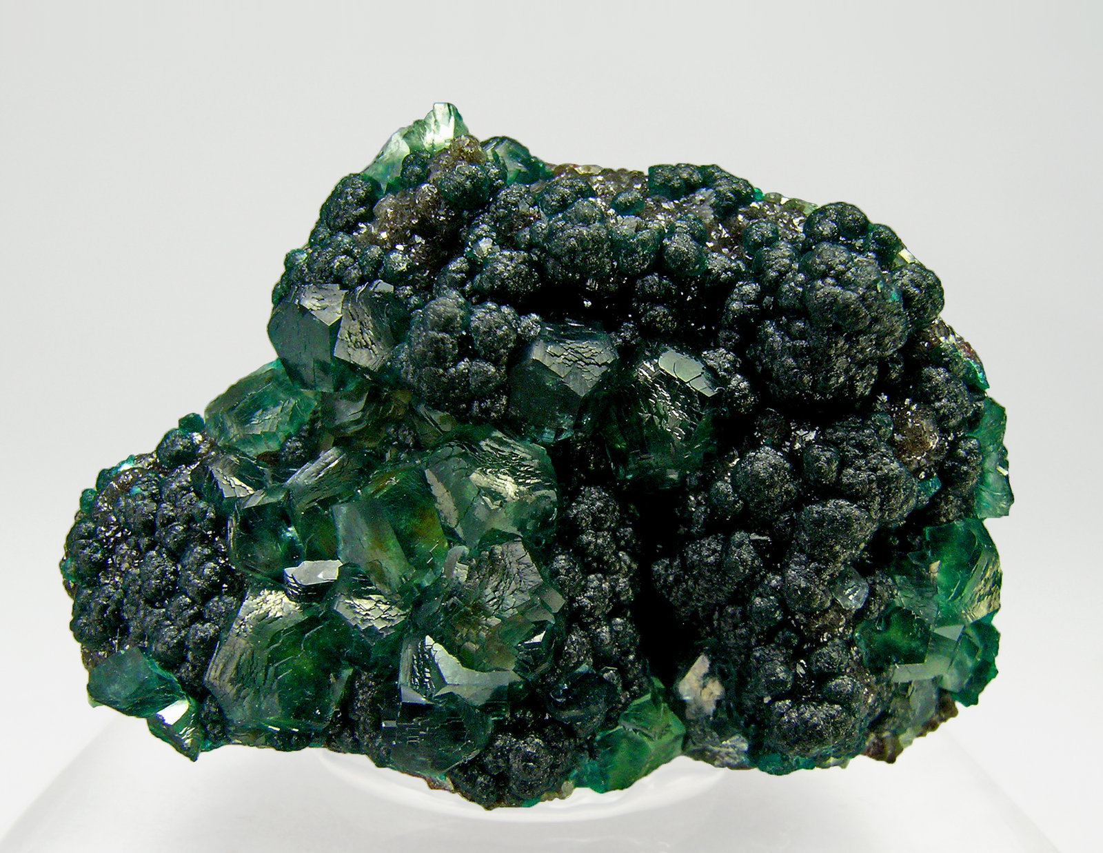 specimens/s_imagesQ6/Rosasite-TK46Q6f.jpg