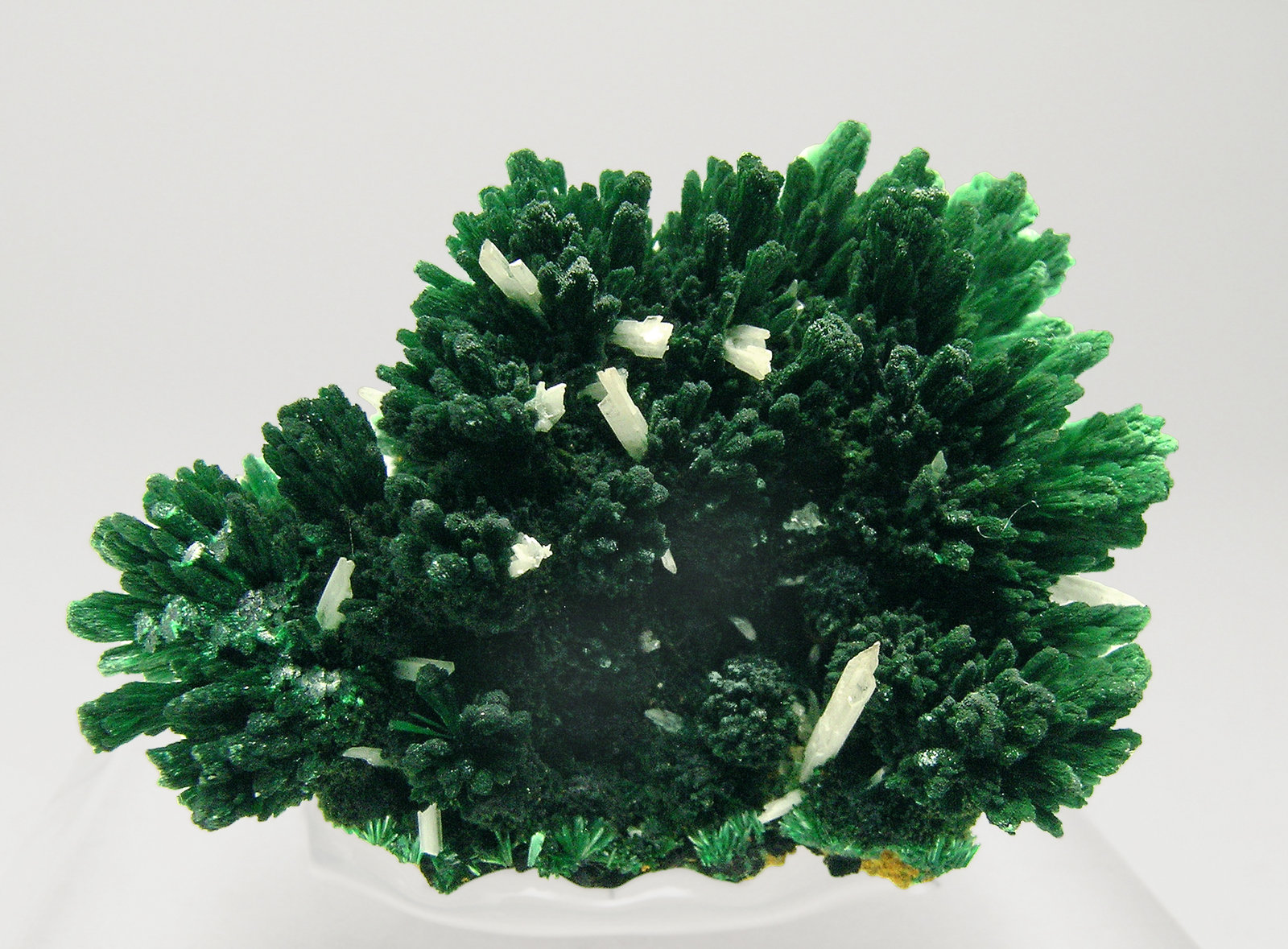 specimens/s_imagesQ7/Cerussite_Malachite-EY11Q7.jpg