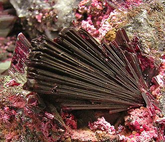 Erythrite with Bariopharmacosiderite. 