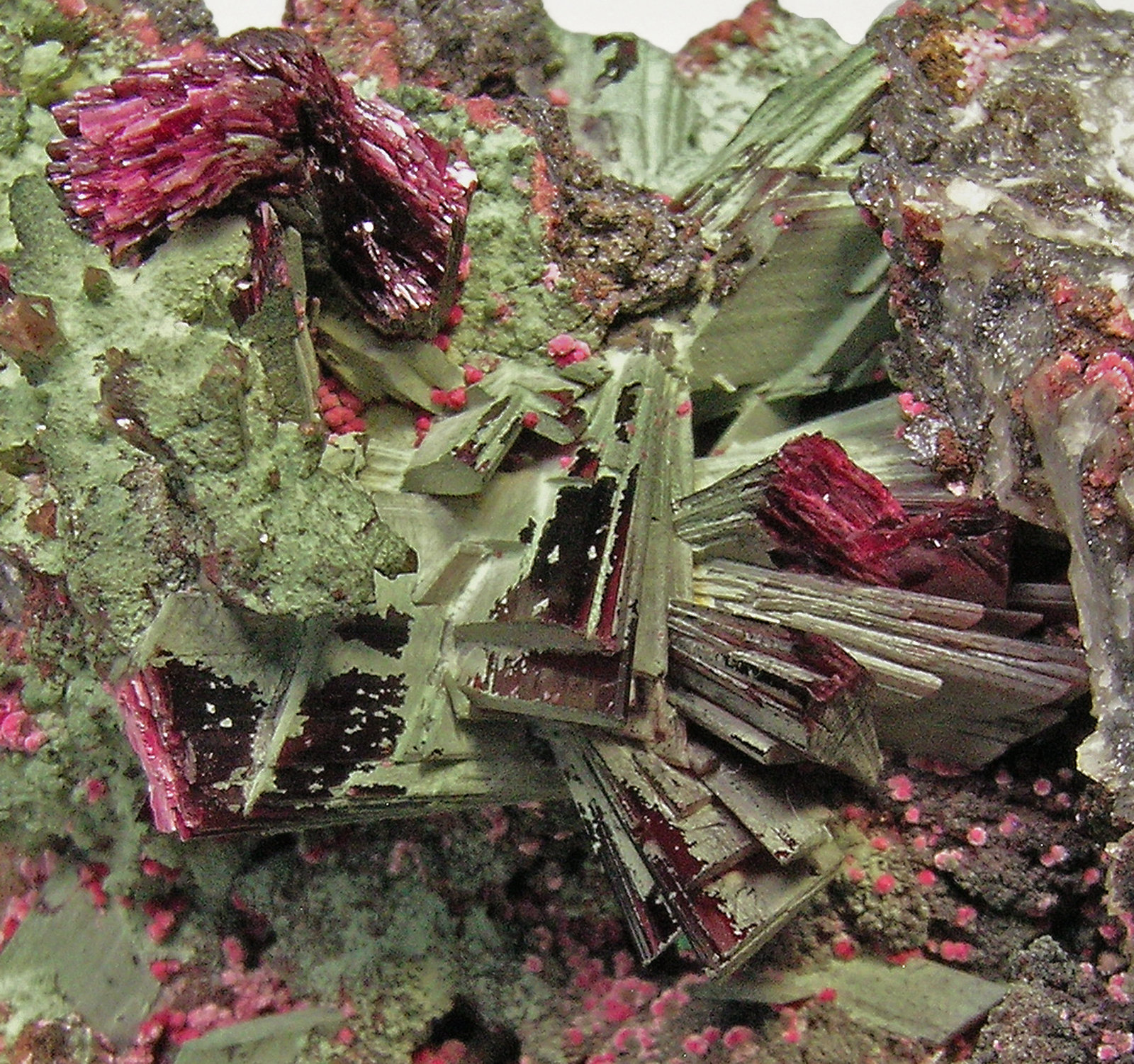 specimens/s_imagesQ7/Erythrite-EQ69Q7d2.jpg