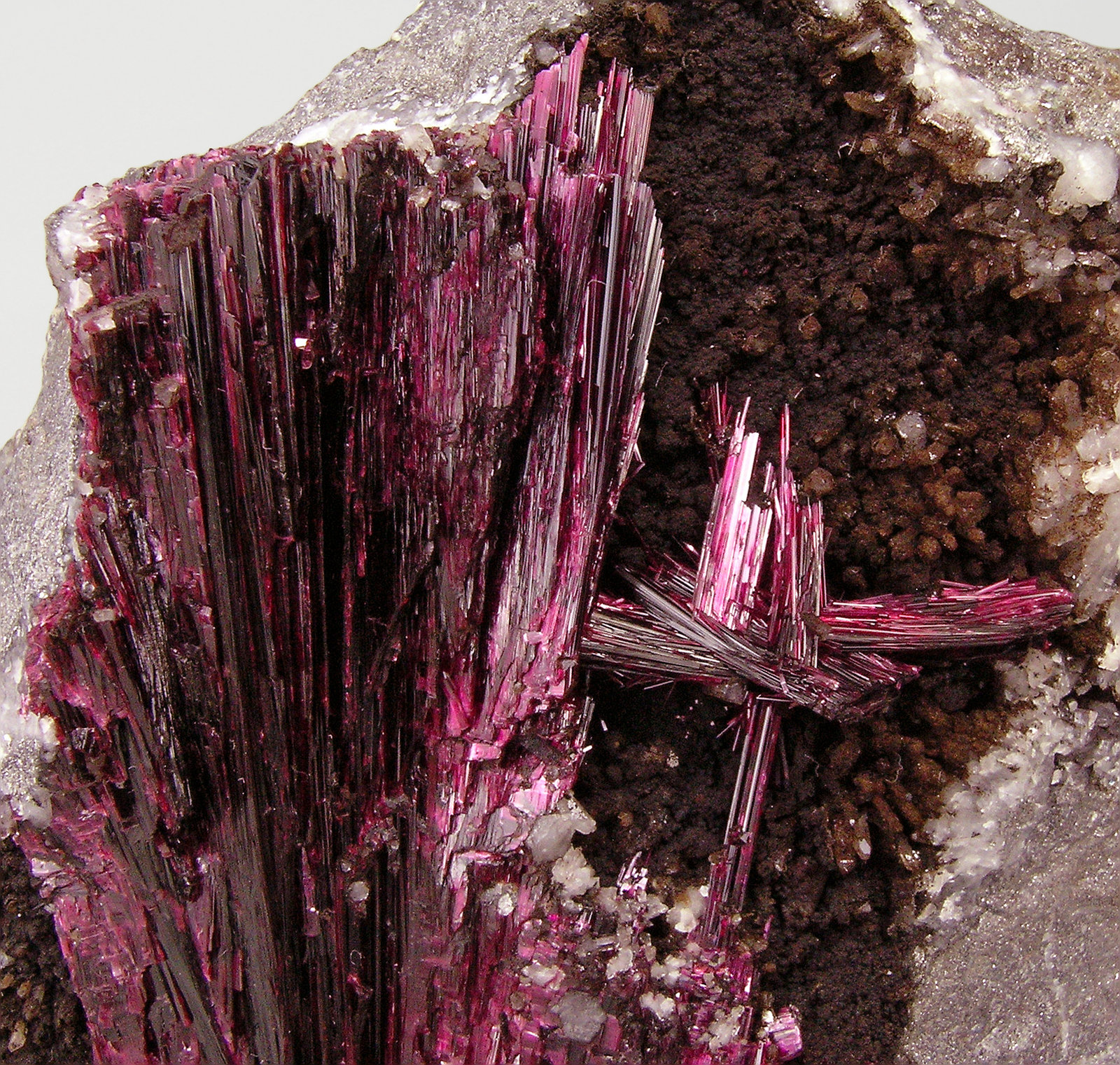 specimens/s_imagesQ7/Erythrite-EV51Q7d.jpg