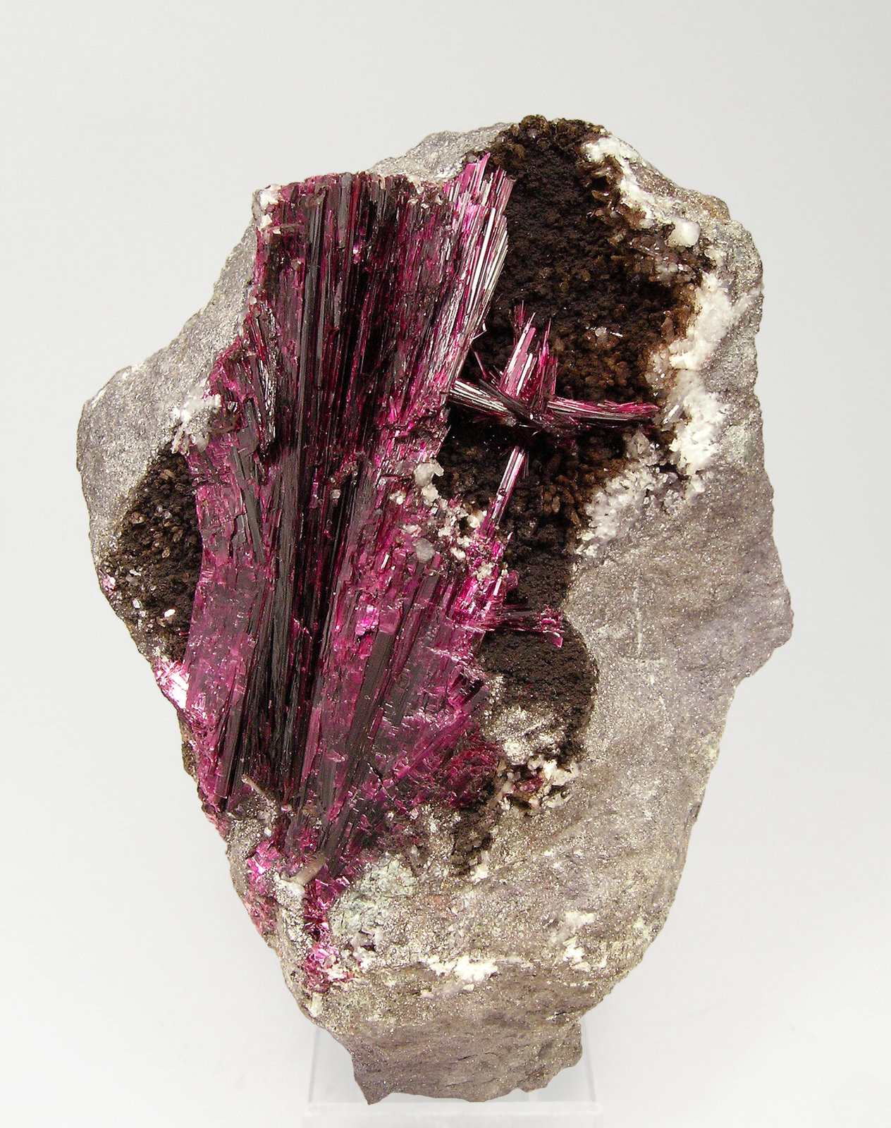 specimens/s_imagesQ7/Erythrite-EV51Q7f.jpg