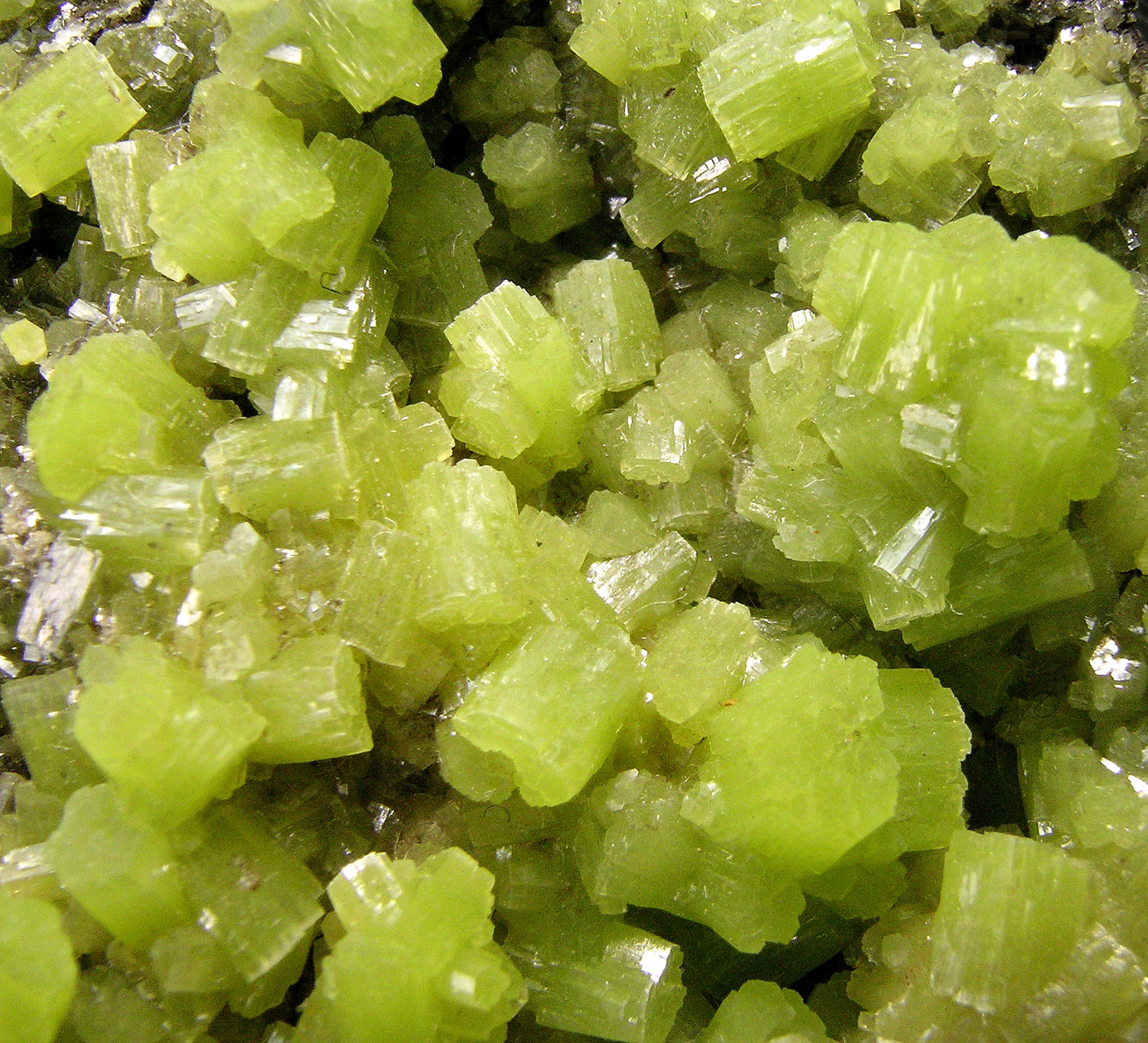 specimens/s_imagesQ7/Pyromorphite-N4DQ7d.jpg