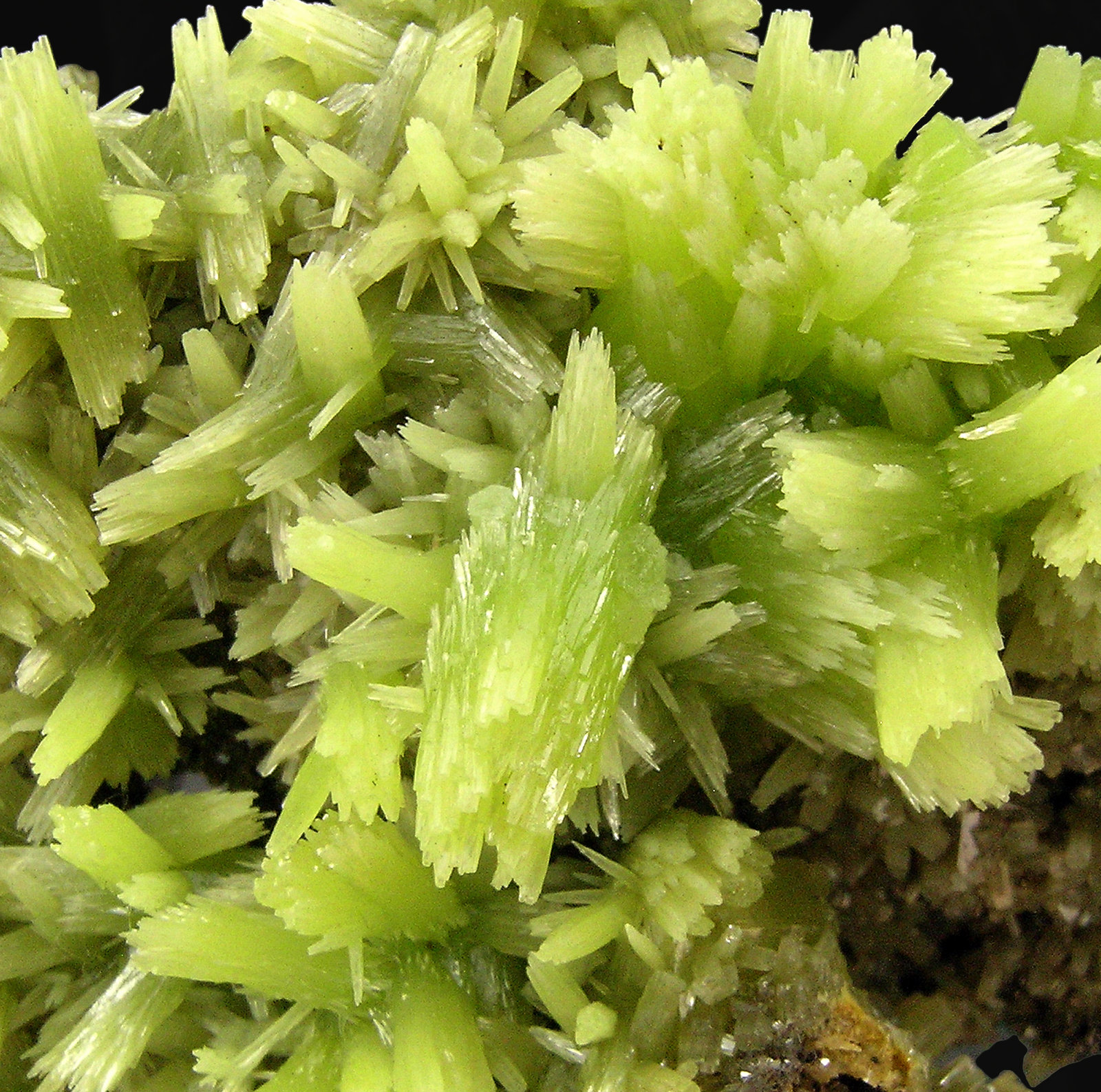 specimens/s_imagesQ7/Pyromorphite-N86NQ7d.jpg