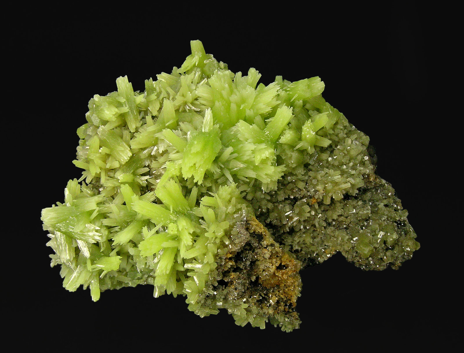 specimens/s_imagesQ7/Pyromorphite-N86NQ7f.jpg