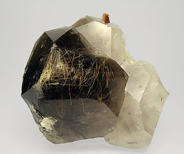 Smoky Quartz with Astrophyllite, Aegirine and Bastnsite-(Ce).