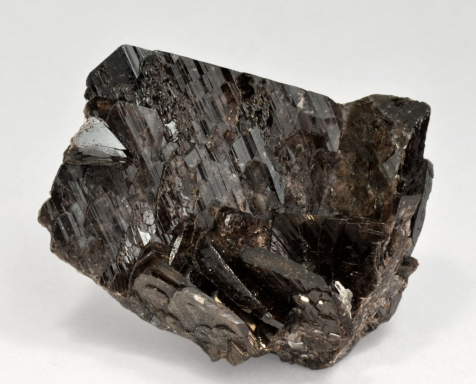 specimens/s_imagesQ8/Axinite_Fe-TT88Q8.jpg