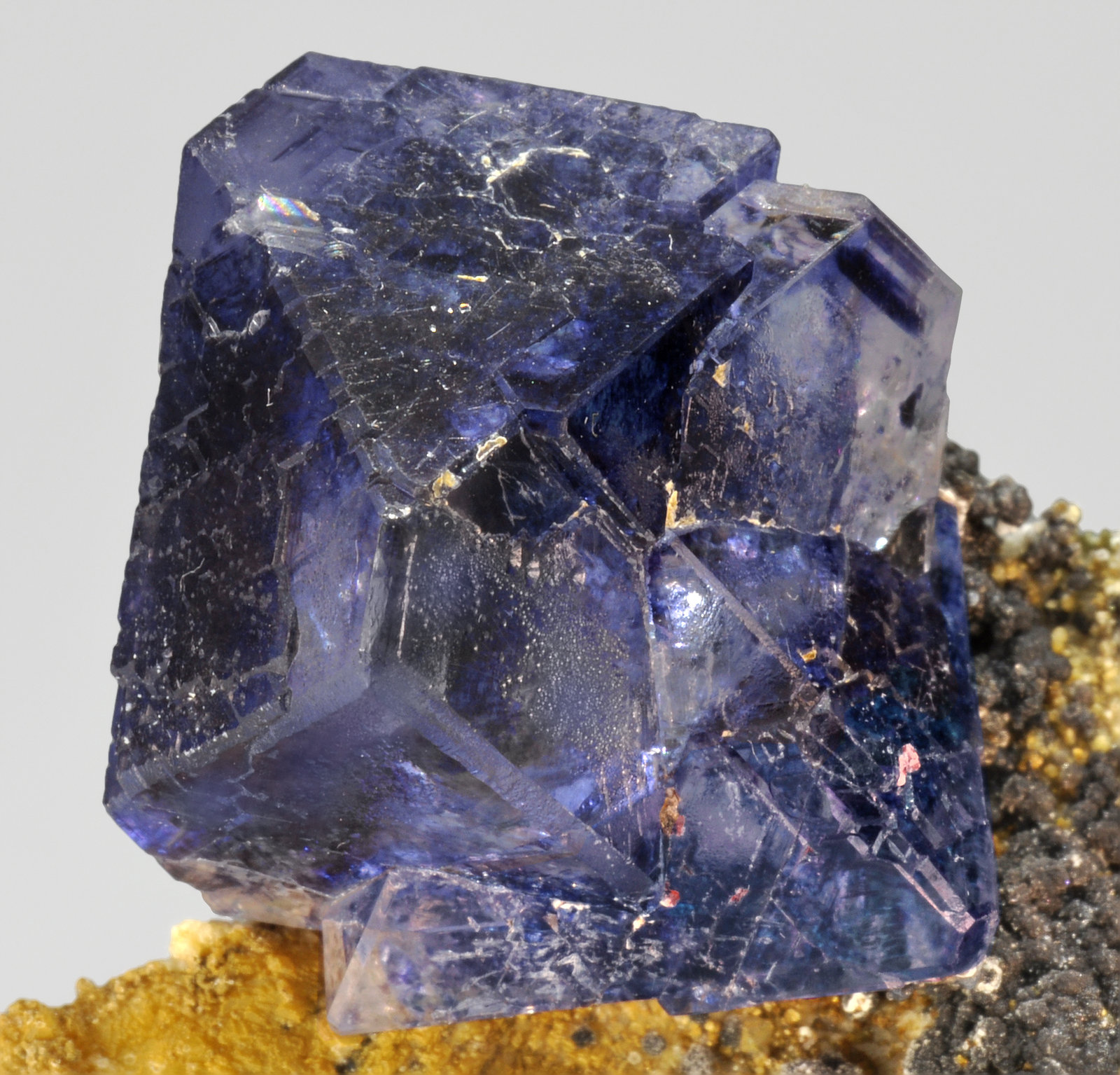 specimens/s_imagesQ8/Fluorite-TM98Q8d.jpg