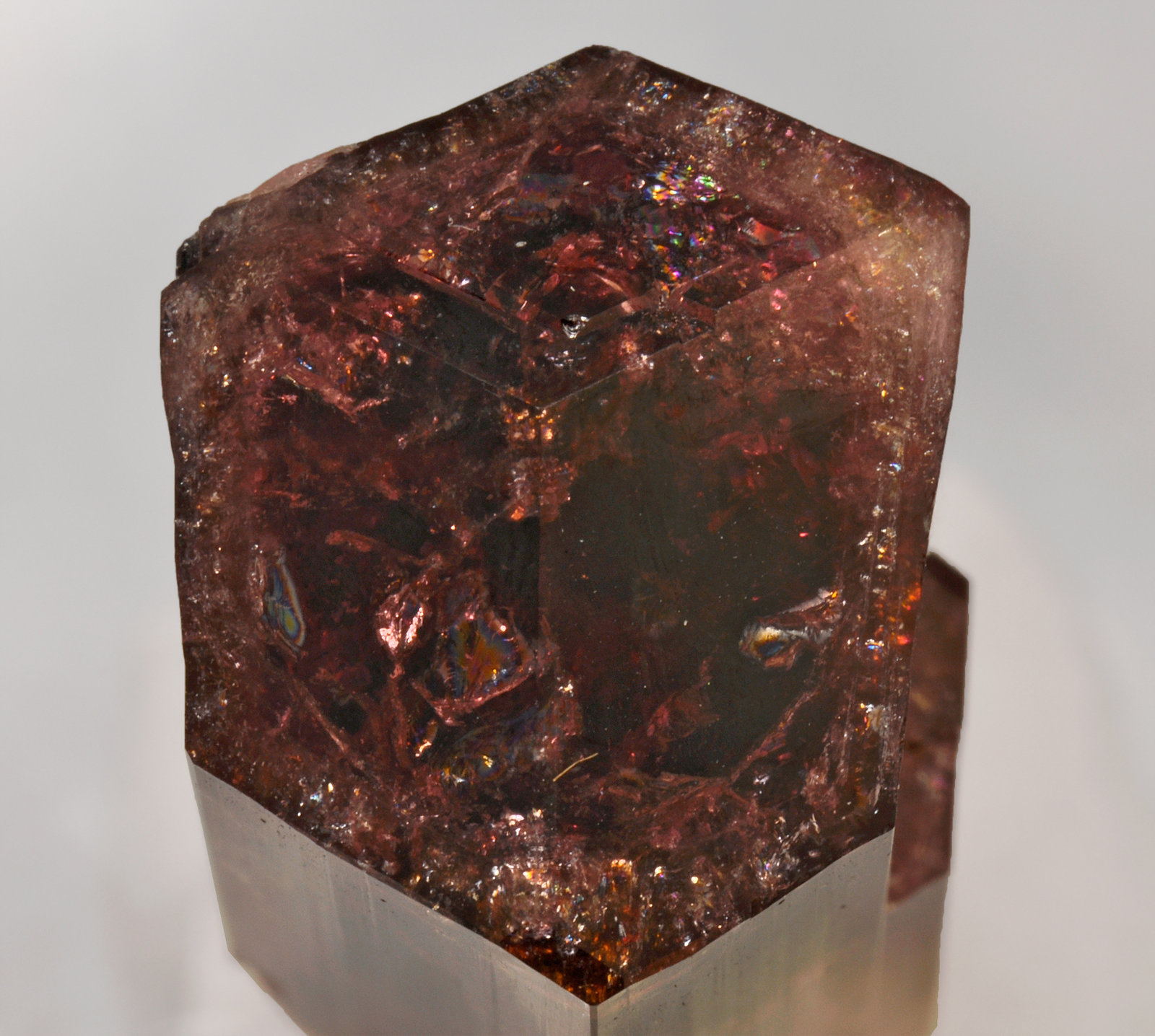 specimens/s_imagesQ8/Liddicoatite-TA67Q8d.jpg