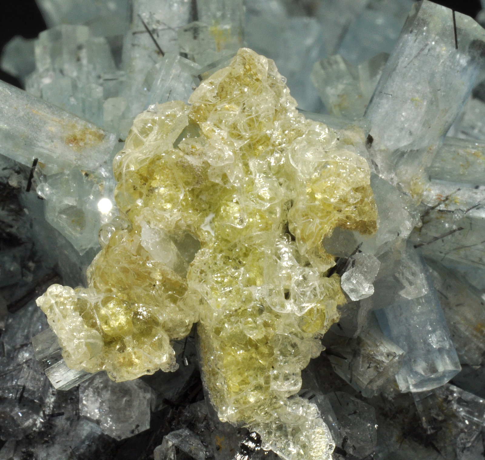 specimens/s_imagesR1/Beryl_Aquamarine-TZ73R1d2.jpg