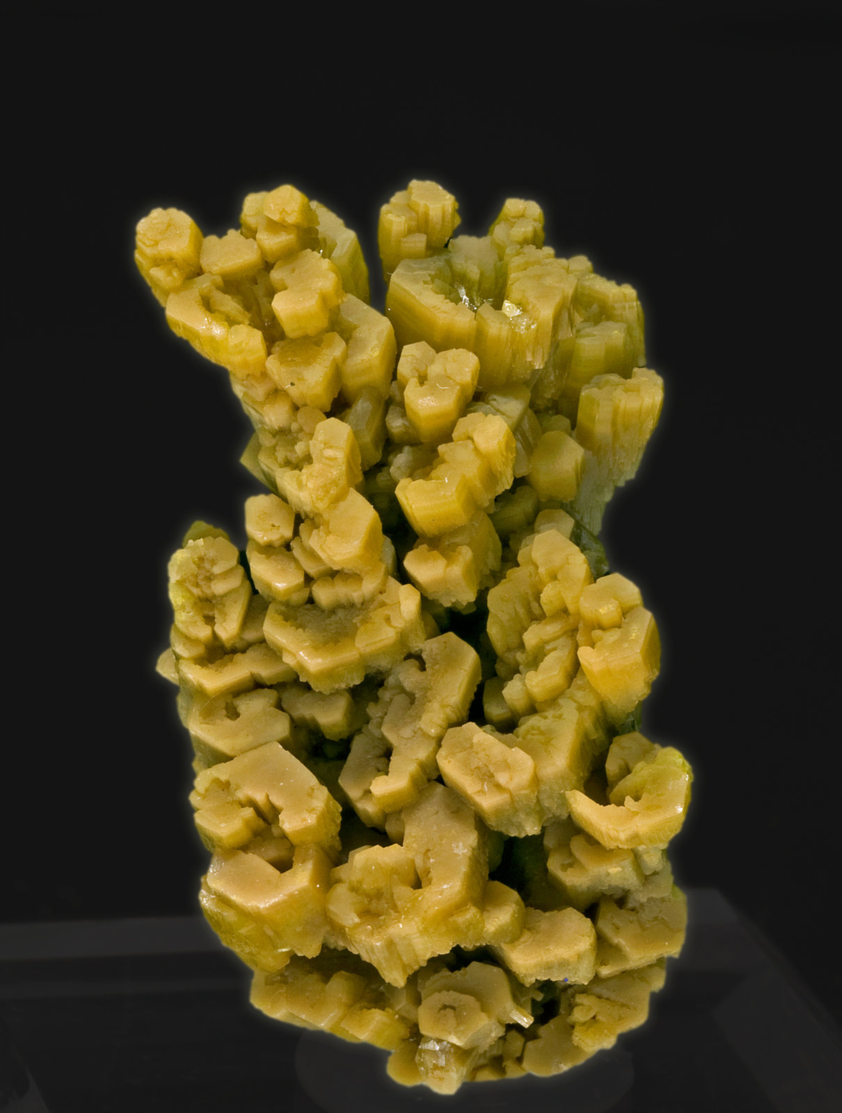 specimens/s_imagesR2/Pyromorphite-NC26R2.jpg